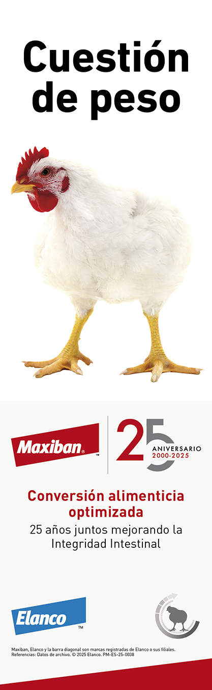 Publicidad